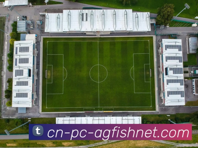 AG捕鱼王官网平台生态图