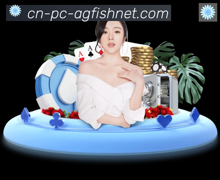 未来规划
