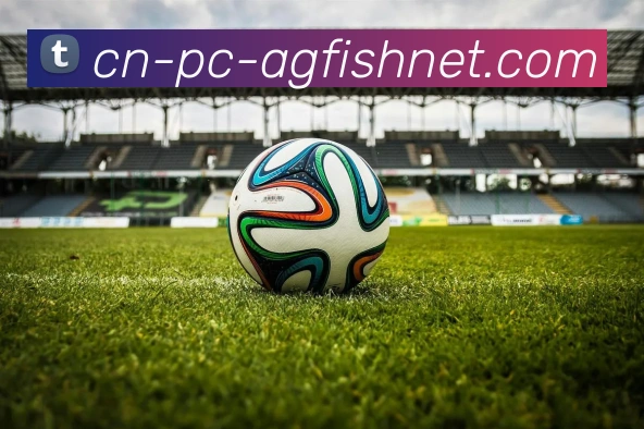 AG捕鱼王官网APP 封面图