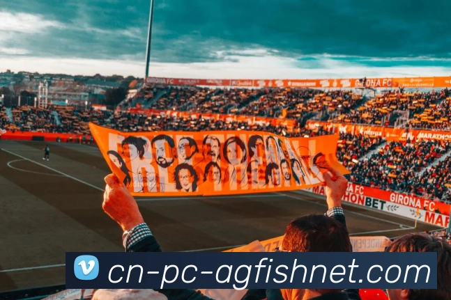 数据防护可视化